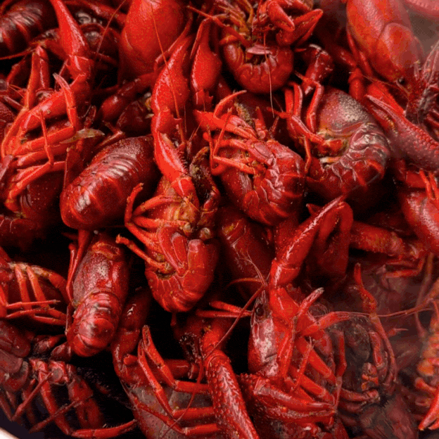 crawfish.gif