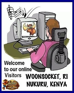 28 ONLINE VISITORS.jpg