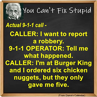 15 STUPID.jpg