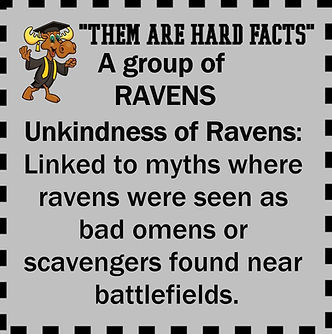 24 HARD FACTS - GATHERINGS.jpg