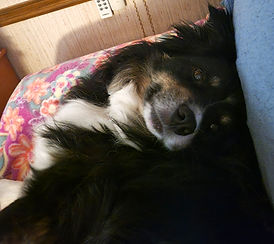 LOVE BARNEY- CROPPED_edited.jpg