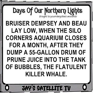 15 DAYS OF OUR NORTHERN LIGHTS.jpg
