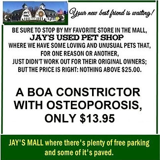 4 JAYS USED PET SHOP 2.jpg