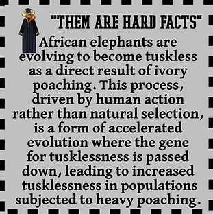 2 HARD FACTS.jpg