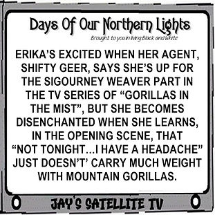 2 DAYS OF OUR NORTHERN LIGHTS.jpg