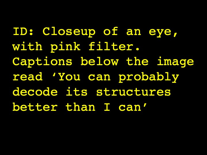 Closeup of an eye, with pink filter. Captions below the image read ‘You can probably decode its structures better than I can’