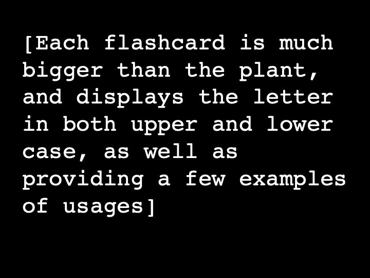 Each flashcard is much bigger than the plant, and displays the letter in both upper and lower case, as well as providing a few examples of usages