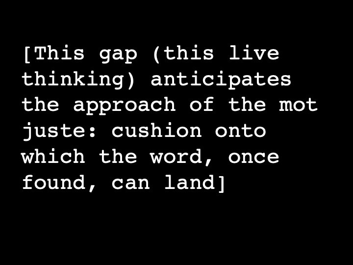 This gap (this live thinking) anticipates the approach of the mot juste: cushion onto which the word, once found, can land