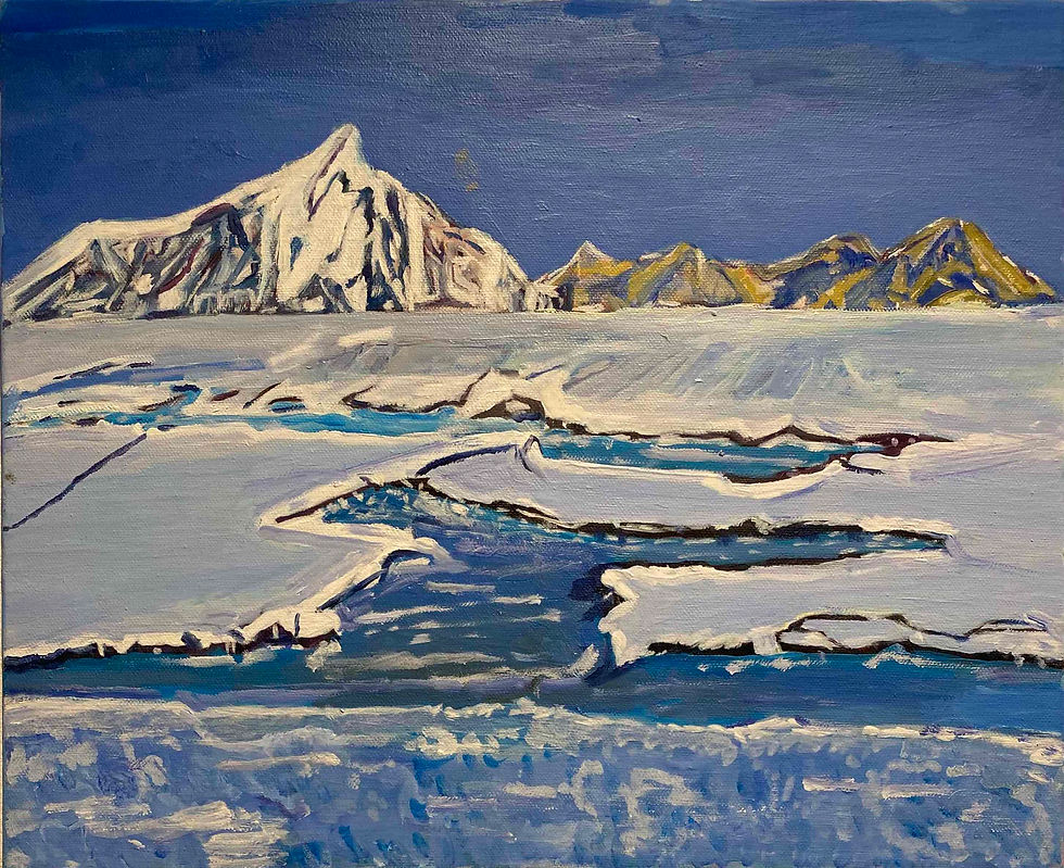 The Muisca Gallery – Coline Simon – Je t'aime – La banquise