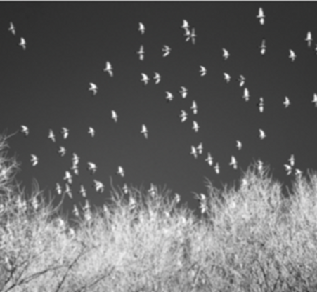 BETWEEN LANDSCAPES III