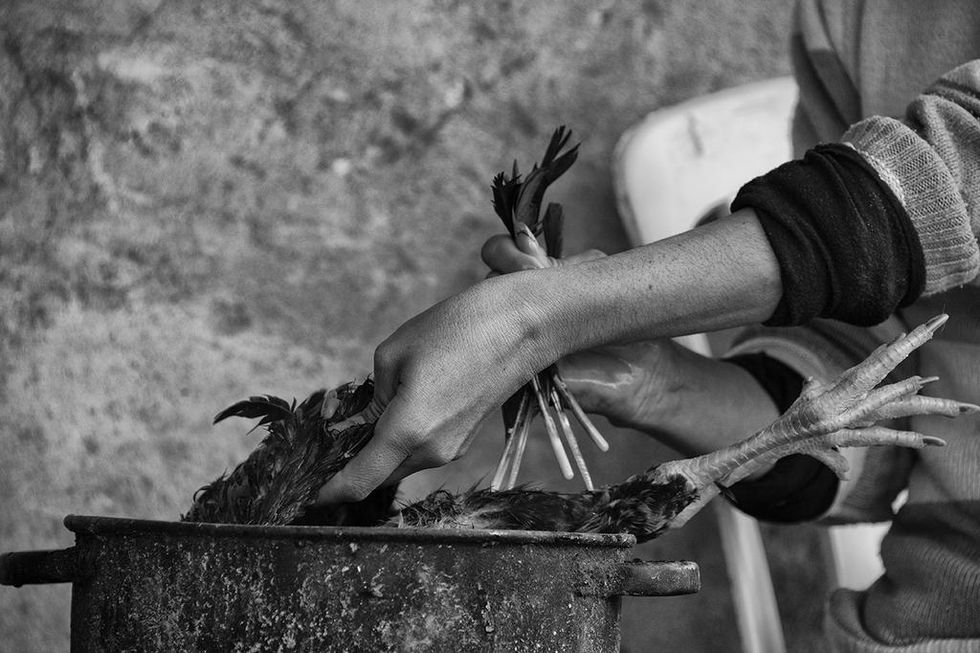Black and white close-up of hands preparing a bird over a pot, depicting rural life and tradition — photographed by Cristian Mitrani.
