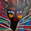 Miniature : Baoba Nº1