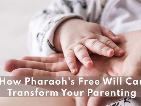 End the Struggle: Practical Solutions to Help Your Child Stay Calm and Controlled