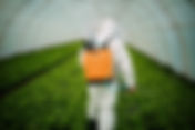 Herbicide and Pesticide Safety: Essential Workplace Precautions