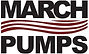 MARCH PUMPS.jpeg