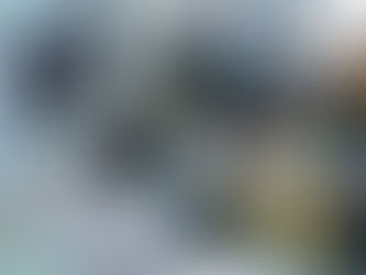 Weekly Gallery (WP) (23/24 Term 2 Week 6)