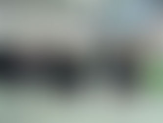 Highlights of the Week (23/24 Term 2 Week 17)