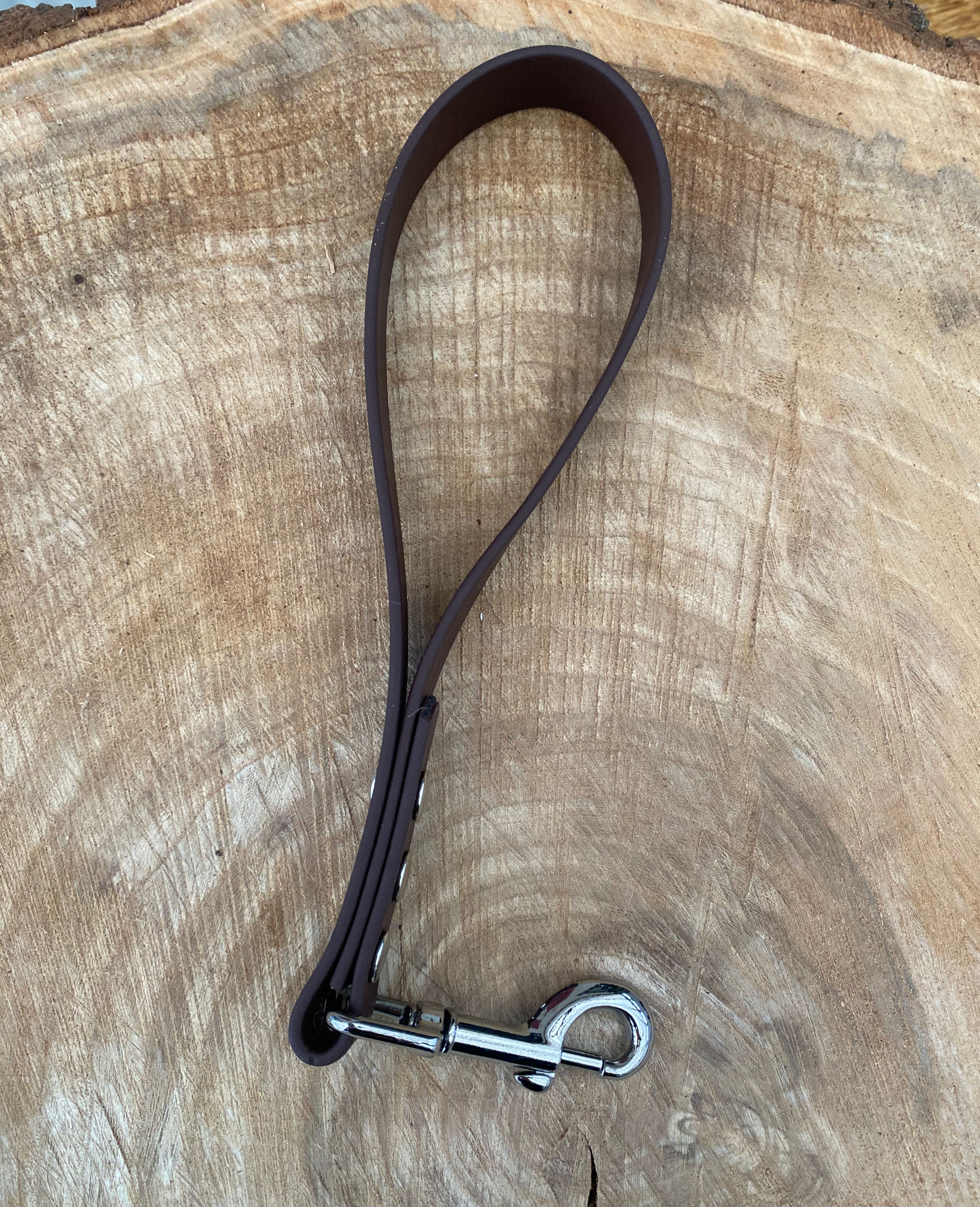 Traffic/Grab Handle