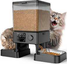 Automatic cat feeder dispensing dry food into a pet bowl