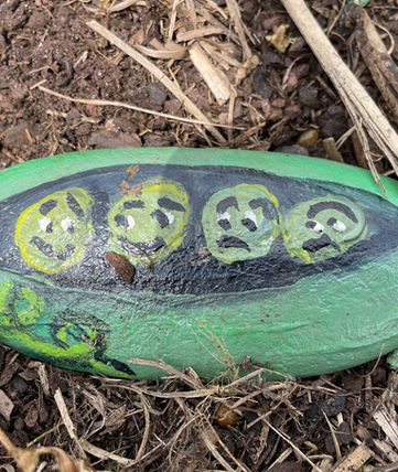 Peas in a Pod Rock.jpeg