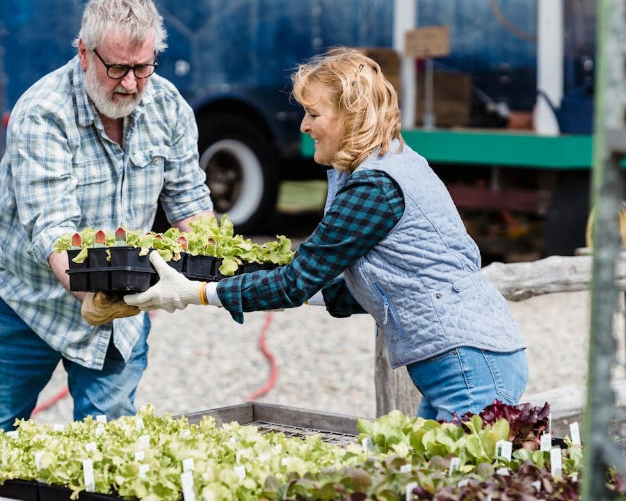 Seize this wonderful opportunity to raise our garden to the next level!