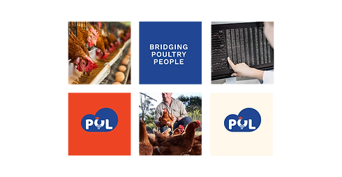 Portfolio slides-06.png
