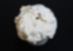 Banana Cream Pie