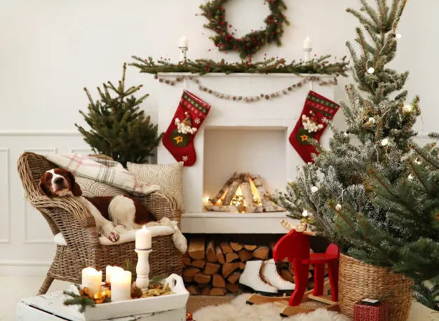 cute-little-dog-christmas-decorated-living-room.jpg.webp