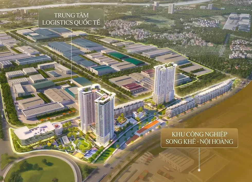 Thị Trường