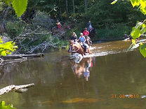 WEB_049.JPG