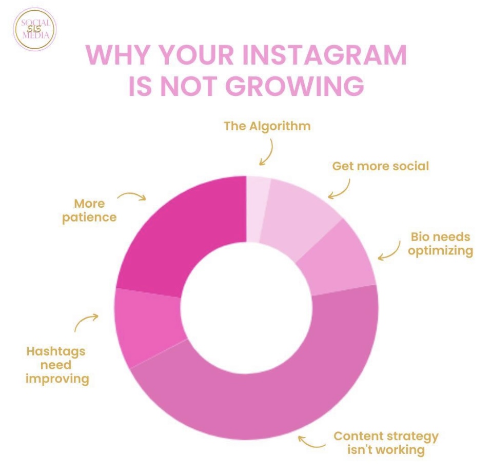 Why Your Instagram Is Not Growing? content media