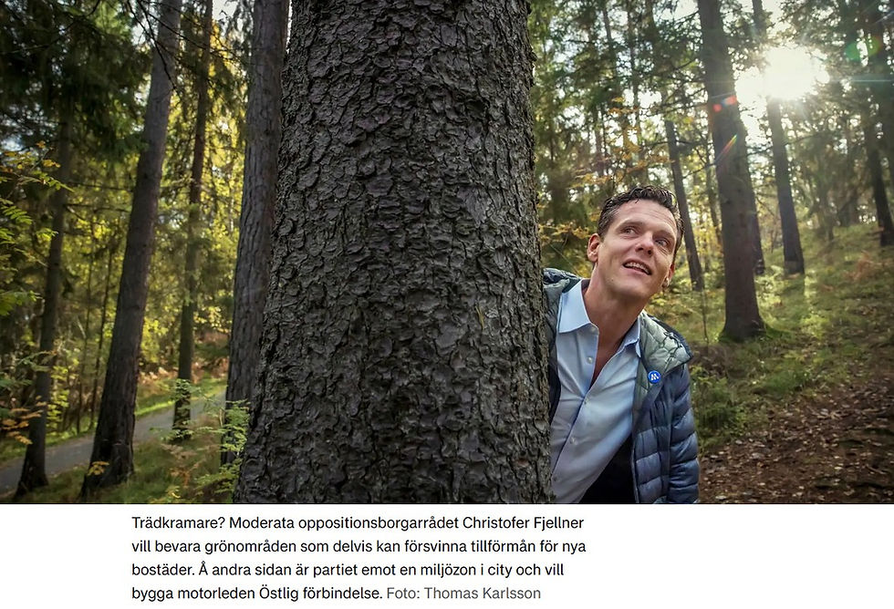 Moderaterna vill begränsa exploateringar av Brommas grönområden