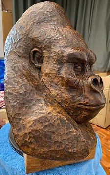 Granville the silverback gorilla.jpeg