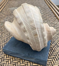 A member's carving