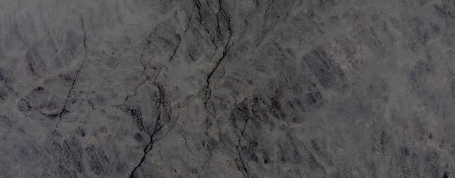 hazel-header.jpg