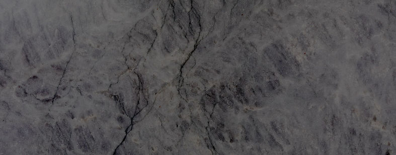 hazel-header.jpg