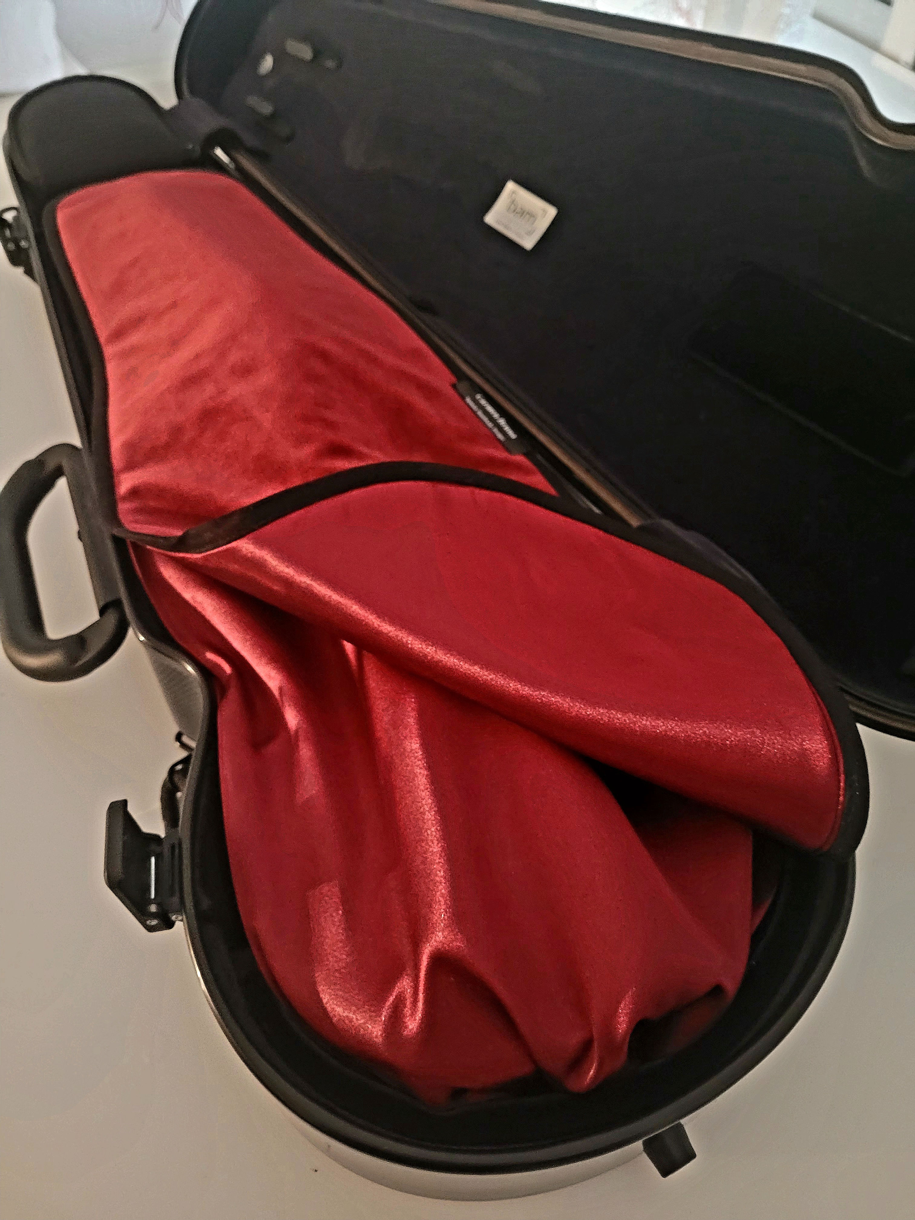 Violin Bag & Blanket Maroon Velvet