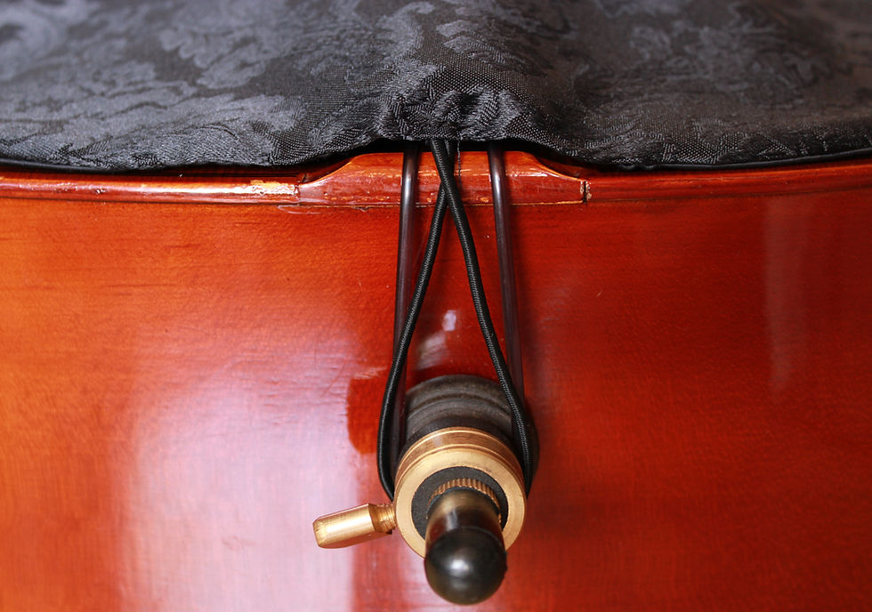 Thumbnail: Cello Blanket & Bow Venetian Floral & Solid Black
