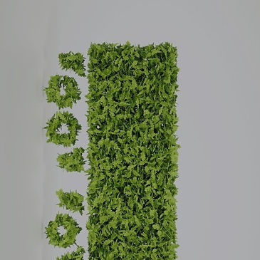 Bewave Sustainable Footwear