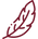 feather.png