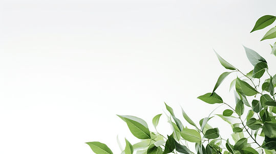 green_leaves_white_background_copy_space_presentation_environment_edited_edited.jpg