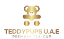 photo_2025-06-13_23-56-04-removebg-preview.png