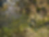 50-14052021-DJI_0567-min.jpg