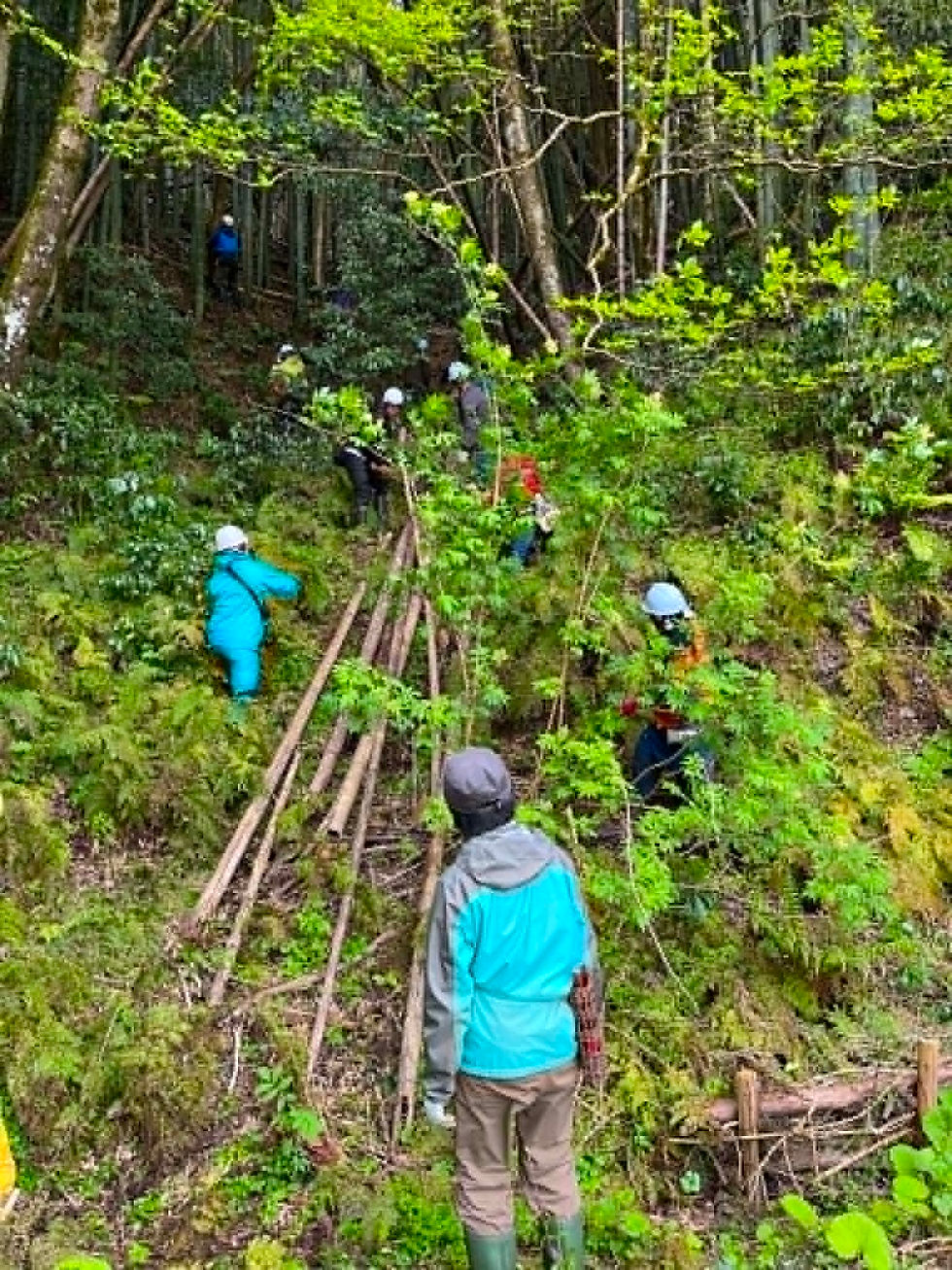 竹林整備に参加