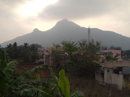 Jan 29th Sukhinobhava Mission Seva Activities :