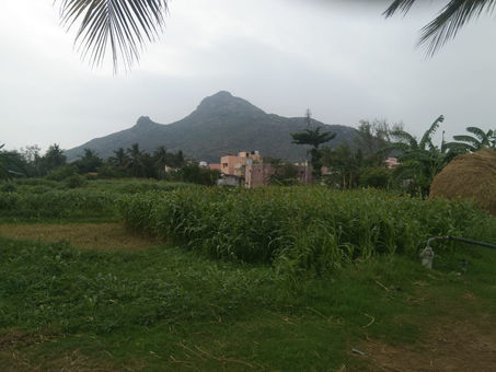 May 16th Sukhinobhava Mission Seva Activities :