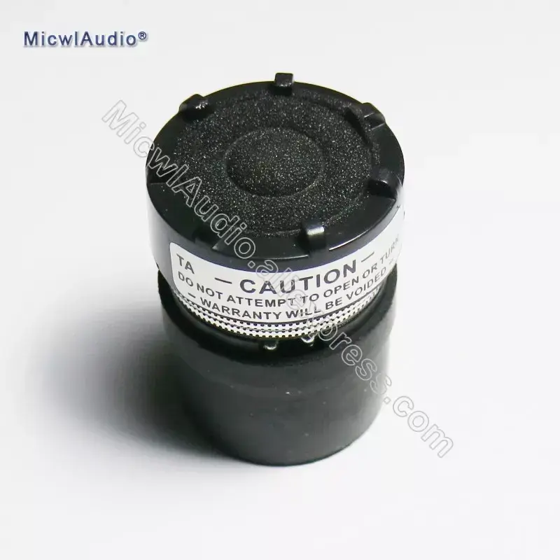 Microphone