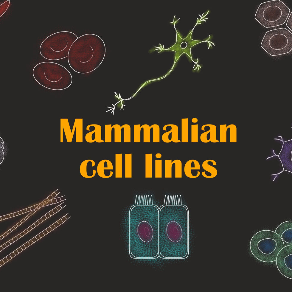 Title page landscape-1.png