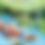 Thumbnail: Lucky's Adventure in the Great Outdoors