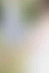 Reynolda Gardens, Family Photographer, winston salem family, photographer, greensboro family photographer, maternity session, grow with me, nc photographer